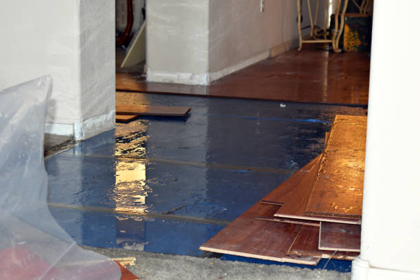 Professional Basement Flood Cleanup technician working in Bryant Pond, ME